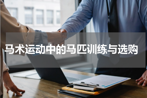  马术运动中的马匹训练与选购