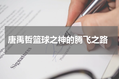  唐禹哲篮球之神的腾飞之路