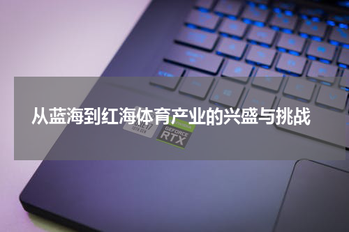  从蓝海到红海体育产业的兴盛与挑战