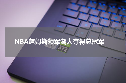  NBA詹姆斯领军湖人夺得总冠军