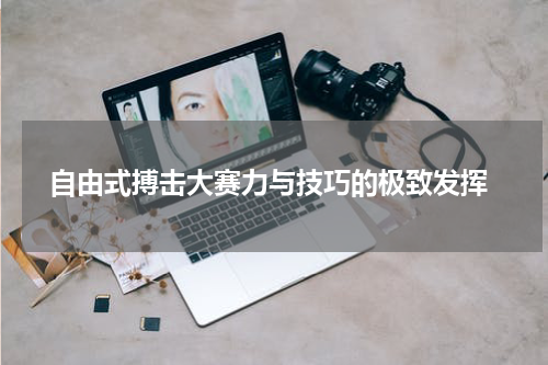  自由式搏击大赛力与技巧的极致发挥