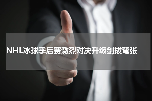  NHL冰球季后赛激烈对决升级剑拔弩张