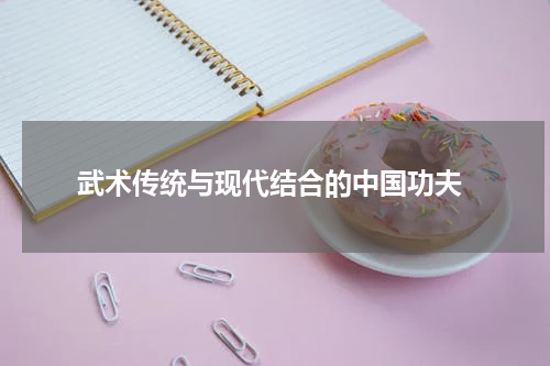  武术传统与现代结合的中国功夫