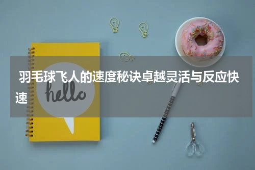 羽毛球飞人的速度秘诀卓越灵活与反应快速