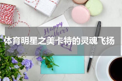  体育明星之美卡特的灵魂飞扬