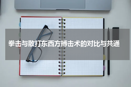  拳击与散打东西方搏击术的对比与共通