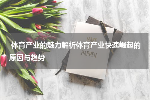  体育产业的魅力解析体育产业快速崛起的原因与趋势