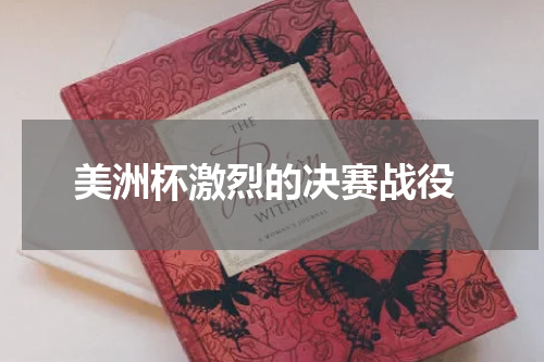  美洲杯激烈的决赛战役