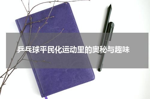  乒乓球平民化运动里的奥秘与趣味