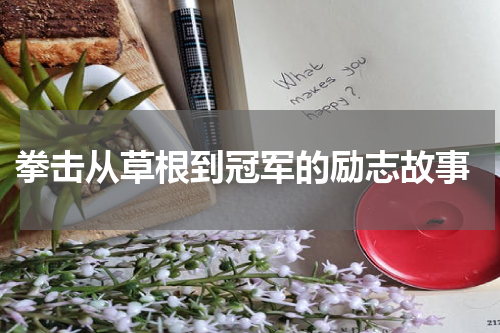  拳击从草根到冠军的励志故事