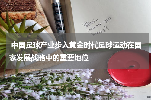  中国足球产业步入黄金时代足球运动在国家发展战略中的重要地位