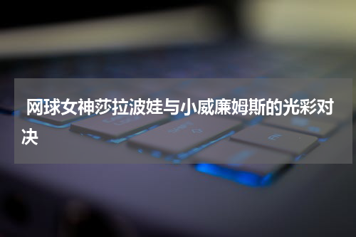 网球女神莎拉波娃与小威廉姆斯的光彩对决