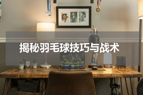  揭秘羽毛球技巧与战术