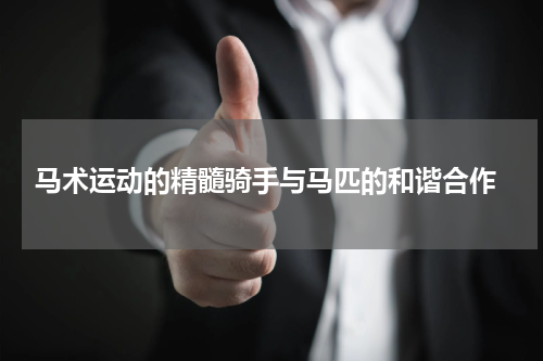  马术运动的精髓骑手与马匹的和谐合作