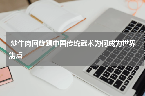  炒牛肉回旋踢中国传统武术为何成为世界焦点