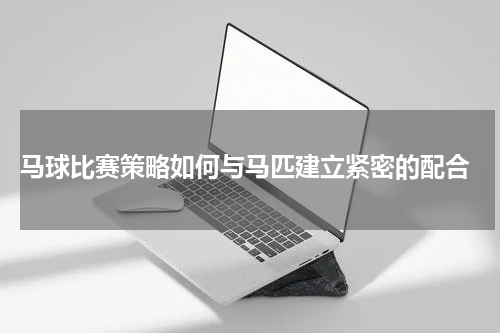  马球比赛策略如何与马匹建立紧密的配合