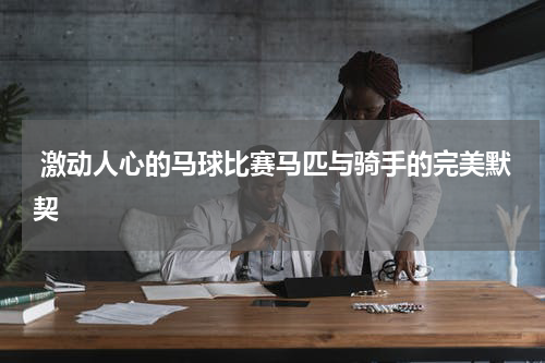  激动人心的马球比赛马匹与骑手的完美默契