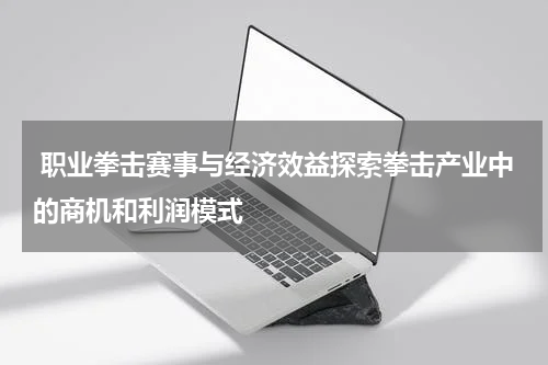  职业拳击赛事与经济效益探索拳击产业中的商机和利润模式