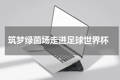  筑梦绿茵场走进足球世界杯