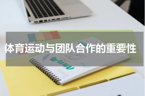  体育运动与团队合作的重要性
