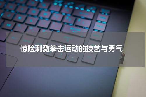  惊险刺激拳击运动的技艺与勇气