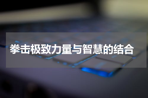  拳击极致力量与智慧的结合