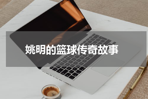  姚明的篮球传奇故事