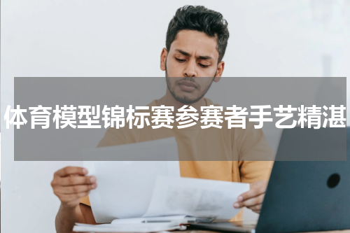 体育模型锦标赛参赛者手艺精湛