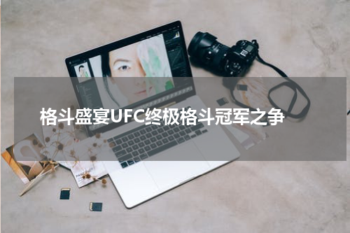  格斗盛宴UFC终极格斗冠军之争