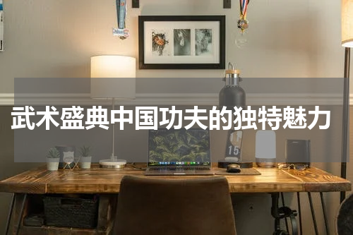  武术盛典中国功夫的独特魅力