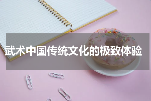  武术中国传统文化的极致体验
