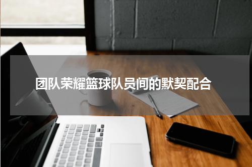  团队荣耀篮球队员间的默契配合