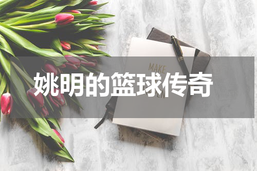  姚明的篮球传奇