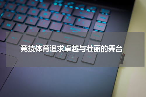  竞技体育追求卓越与壮丽的舞台