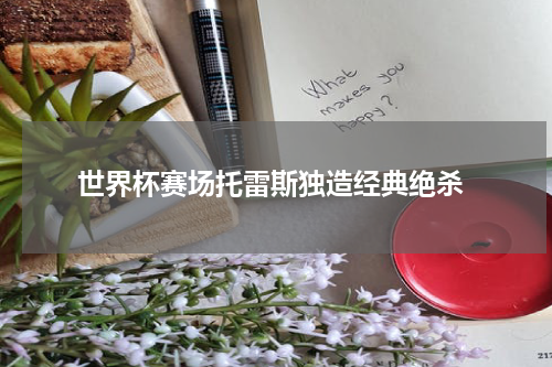  世界杯赛场托雷斯独造经典绝杀