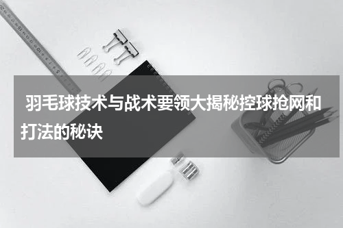  羽毛球技术与战术要领大揭秘控球抢网和打法的秘诀