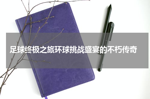  足球终极之旅环球挑战盛宴的不朽传奇