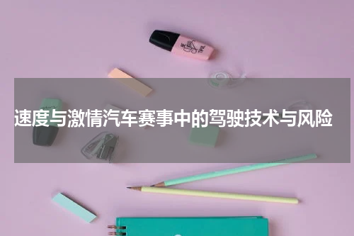  速度与激情汽车赛事中的驾驶技术与风险