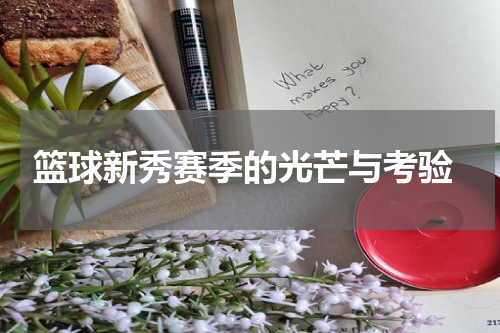  篮球新秀赛季的光芒与考验