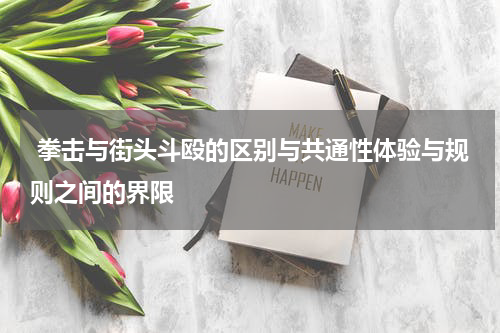  拳击与街头斗殴的区别与共通性体验与规则之间的界限