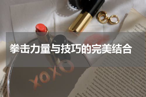  拳击力量与技巧的完美结合