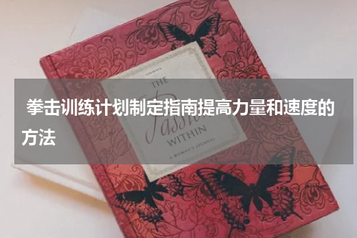  拳击训练计划制定指南提高力量和速度的方法