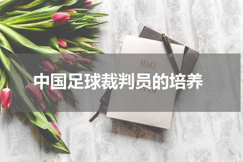  中国足球裁判员的培养
