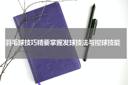  羽毛球技巧精要掌握发球技法与控球技能