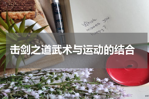  击剑之道武术与运动的结合