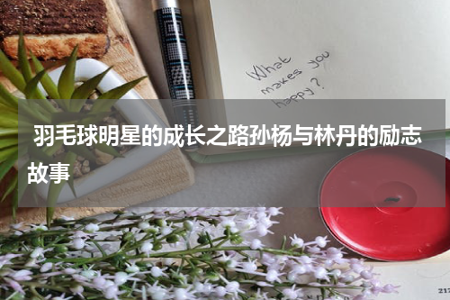  羽毛球明星的成长之路孙杨与林丹的励志故事