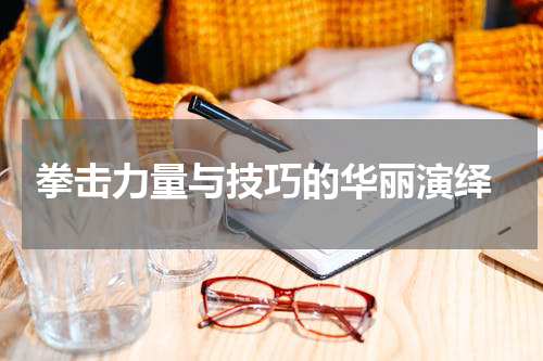  拳击力量与技巧的华丽演绎