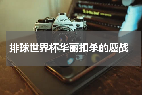  排球世界杯华丽扣杀的鏖战