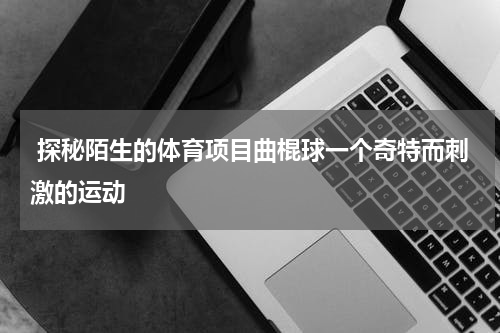  探秘陌生的体育项目曲棍球一个奇特而刺激的运动