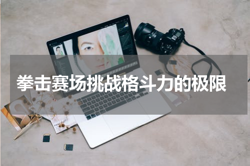  拳击赛场挑战格斗力的极限